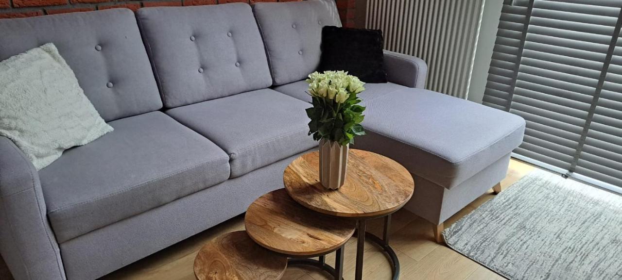 Loft Apartment " Amadeus " Tymienieckiego 25D วูดช์ ภายนอก รูปภาพ